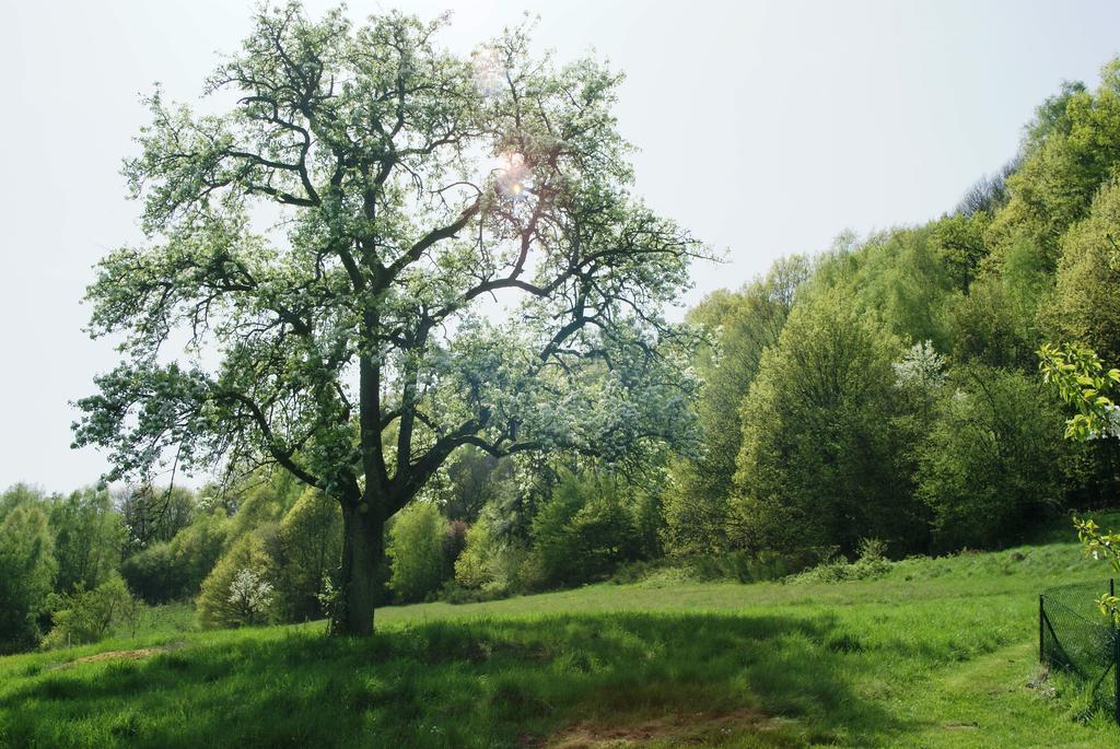 Gite Du Windstein Dış mekan fotoğraf